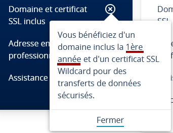 Les plans d'hébergement IONOS incluent un domaine gratuit seulement la première année du contrat.