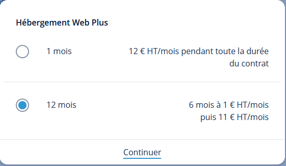 Le choix de cycle de tarification proposé par IONOS lors de l'achat.