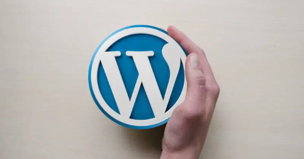 Top hébergeurs WordPress pour un site rapide et abordable