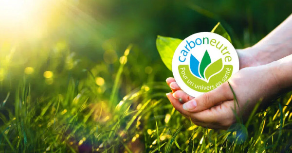 Les meilleurs hébergements web écologiques et carboneutres en 2025