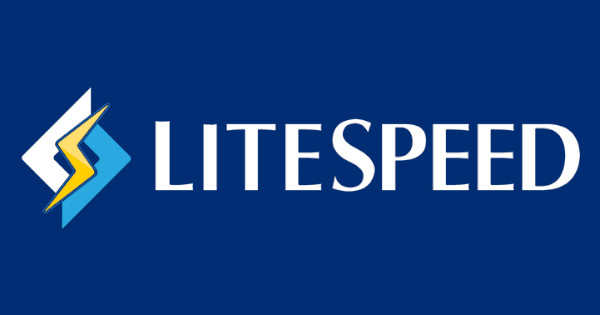Les meilleurs hébergeurs web offrant des serveurs Litespeed